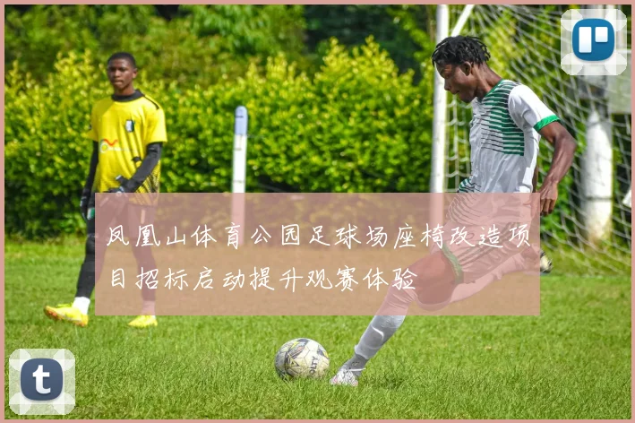 凤凰山体育公园足球场座椅改造项目招标启动提升观赛体验